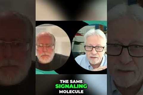 Foods That Spark Arousal: The Histamine Connection! #shorts