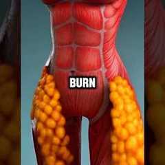 5 Foods that BURN belly fat fast