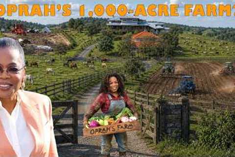 Inside Oprah Winfrey’s MASSIVE Maui Empire…She Owns Nearly 1,000 Acres