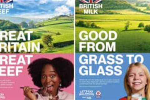 ASA bans British beef and milk adverts after Packham complaint over carbon claims