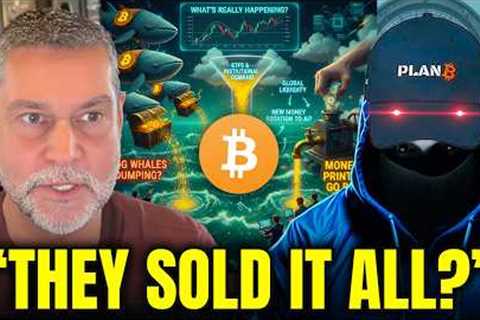 Did These OG Whales JUST RUIN the Entire Crypto Bull Market?! - Raoul Pal & PlanB