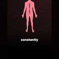What if belly fat isn't just a food problem?