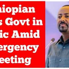 Ethiopian PM's Govt in Panic Amid Emergency Meeting