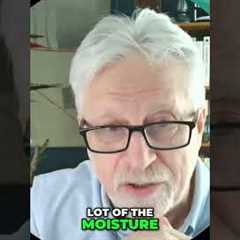 Colon Health: The Dangers of Slow Digestion #shorts