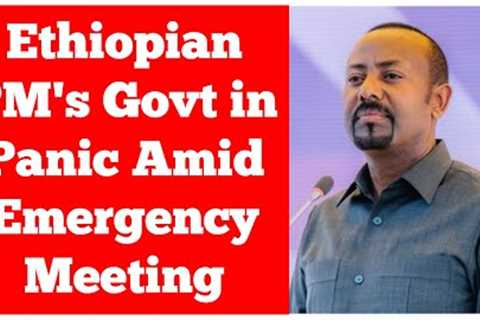 Ethiopian PM's Govt in Panic Amid Emergency Meeting