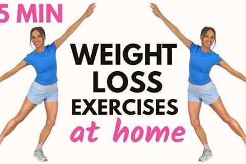 Low Impact Cardio Workout | Weight Loss Exercises at Home | Knee Friendly, No Jumping, No Equipment