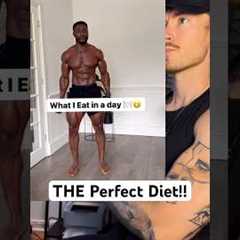 THE perfect diet review