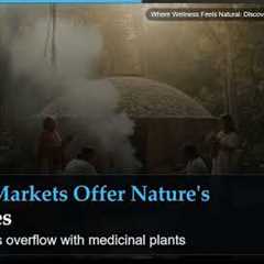 Where Wellness Feels Natural: Discovering Mexico's Healing Culture