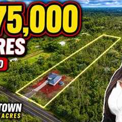 $675K Hawaii Home With 3 Acres of Tropical Land