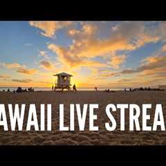 Hawaii Travel Videos LIVE! Coffee, Walk & Talk!
