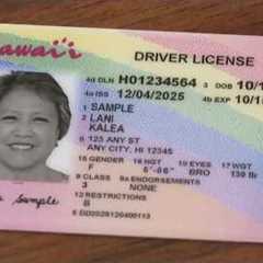 ‘Get used to it’: Honolulu mayor responds to backlash over new Hawaii license, ID design