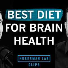 Best Diet to Improve & Maintain Brain Health | Dr. Tommy Wood & Dr. Andrew Huberman