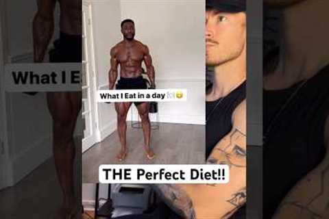 THE perfect diet review