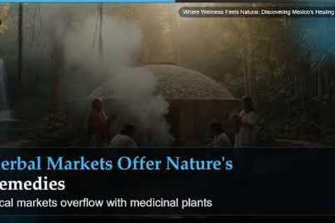 Where Wellness Feels Natural: Discovering Mexico's Healing Culture