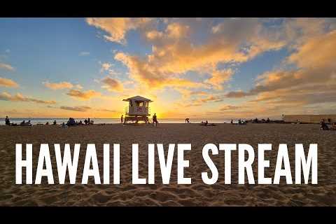 Hawaii Travel Videos LIVE! Coffee, Walk & Talk!