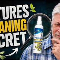 Why Wild Oregano Is Nature's Powerful Cleaning Secret