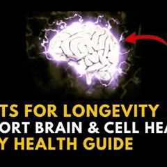 Habits for Healthy Longevity: Simple Daily Nutrition Ideas