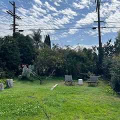 Budget Breakdown: With $94K, They Turned Their Cracked Concrete L.A. Backyard Into a Serene Meadow