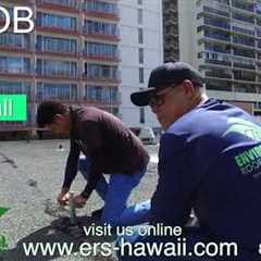 Hawaii Roofing Company FREE Estimate info ERS Hawaii