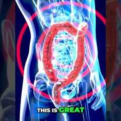 Hack Your Gut: Prebiotics Stabilize Blood Sugar & Reduce Inflammation! #shorts