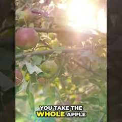 Apple Fiber: Detox Your Body, Boost Your Health! #shorts