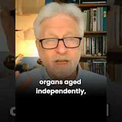What if your fat-not your brain-is helping control how fast you age?