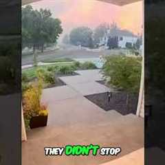 Devastating Wildfire Fueled by 40 MPH Winds #shorts