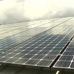 Hawaii solar companies fear president's renewable energy tax could hurt business