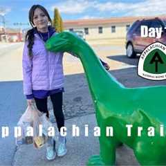 Appalachian Trail Thru Hike 2025 | Day 14 | Zero in Franklin #backpacking