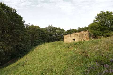 A New Envelope Turns This Old Stone Stable in Spain Into a High-Performing Home