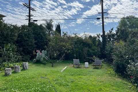 Budget Breakdown: With $94K, They Turned Their Cracked Concrete L.A. Backyard Into a Serene Meadow