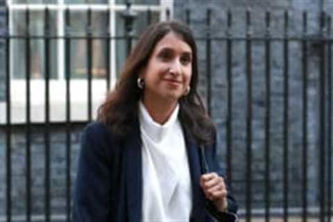 Energy minister accused of misleading MPs over grid safety limits