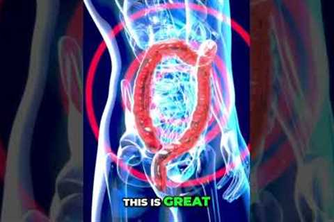 Hack Your Gut: Prebiotics Stabilize Blood Sugar & Reduce Inflammation! #shorts
