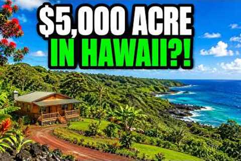 The Cheapest Land in Hawaii Costs $5,000 — And the Reason Will Terrify You