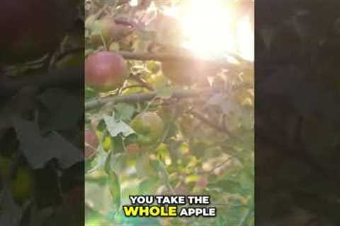 Apple Fiber: Detox Your Body, Boost Your Health! #shorts
