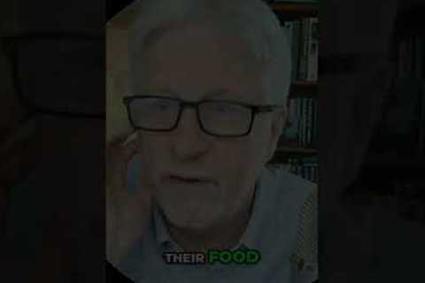 Hunter-Gatherer Diet vs. Modern Food: Fiber Shock! #shorts