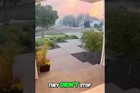 Devastating Wildfire Fueled by 40 MPH Winds #shorts