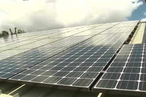 Hawaii solar companies fear president's renewable energy tax could hurt business