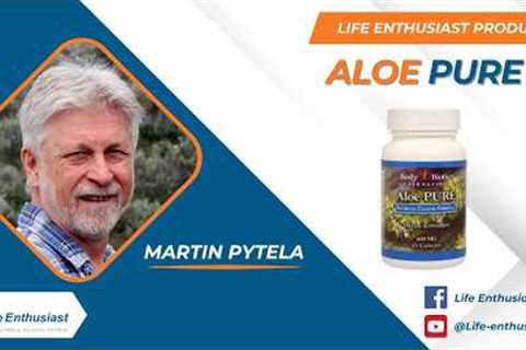 Why Your Gut Is the Foundation of Your Health