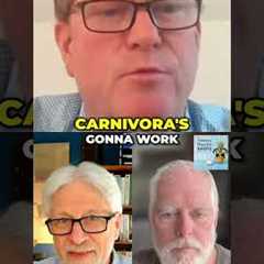 Carnivora: Balancing T and B Cells for Immunity #shorts