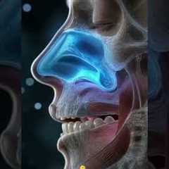Penile Shrinkage: The Surprising Link to Sinus Health #shorts