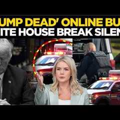 LIVE | 'Trump Is Dead': White House BREAKS SILENCE On Trump Health Rumours Amid Online Storm
