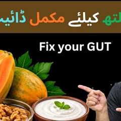 Best Diet Plan for a Healthy Gut
