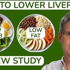 Which Diet is Best to Lower Liver Fat and Improve Insulin Sensitivity in People with Fatty Liver?
