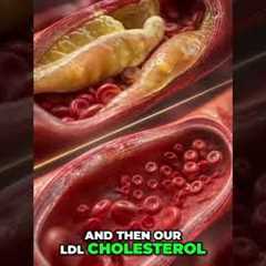 Berberine vs. Metformin: Surprising Results #shorts