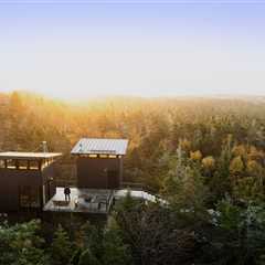 Camping Turned Into Glamping After a Family Built Twin Tiny Cabins in the Woods