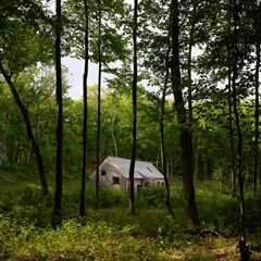 Their Collection of 60-Plus Plants Defined the Design of Their Hudson Valley Home