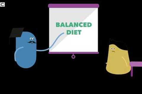 What is a healthy lifestyle? – BBC Bitesize Key Stage 3 Learning for Life and Work