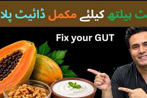 Best Diet Plan for a Healthy Gut