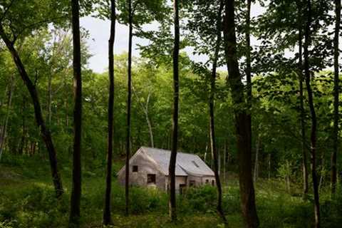 Their Collection of 60-Plus Plants Defined the Design of Their Hudson Valley Home